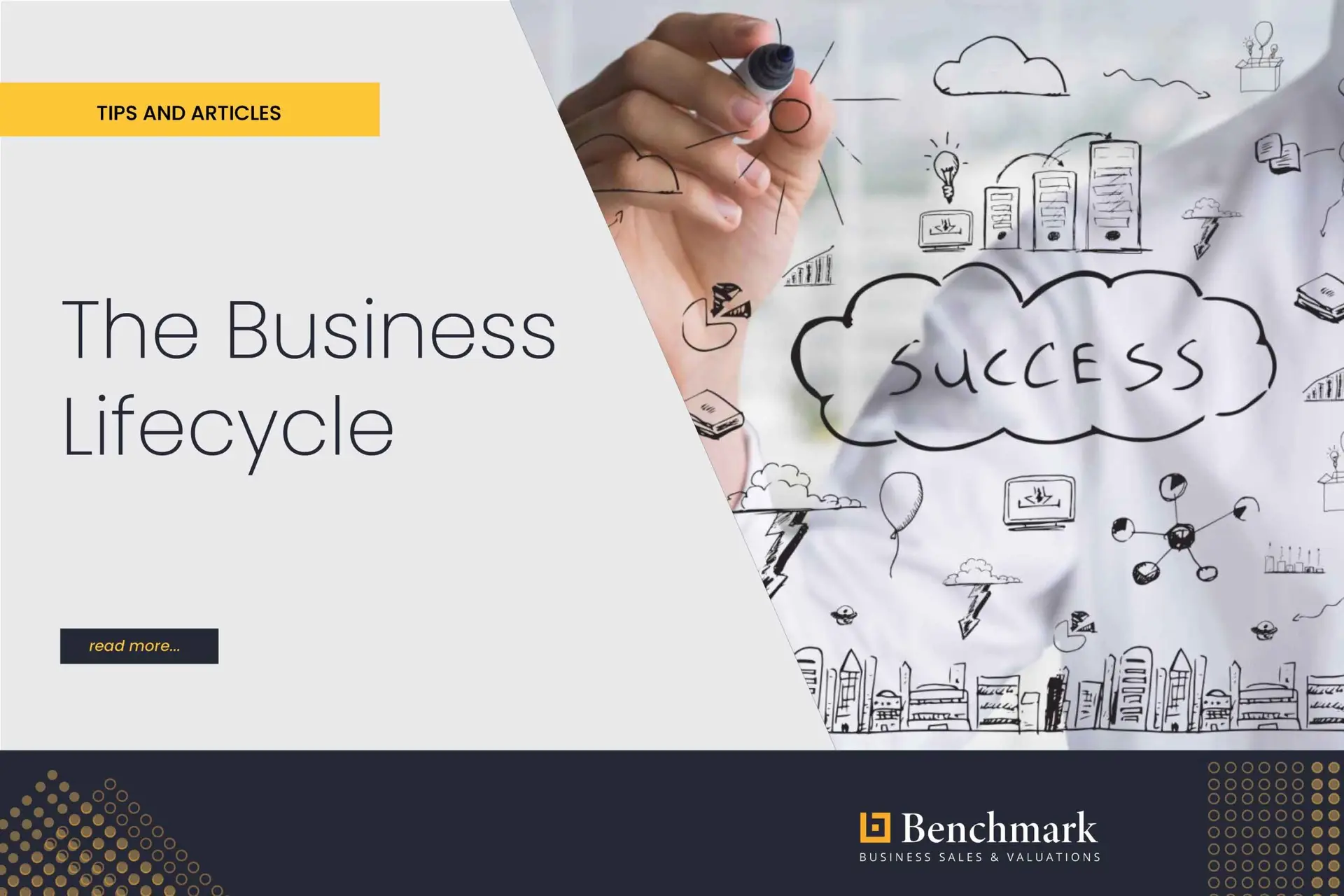 Business Life Cycles: Everything You Need To Know