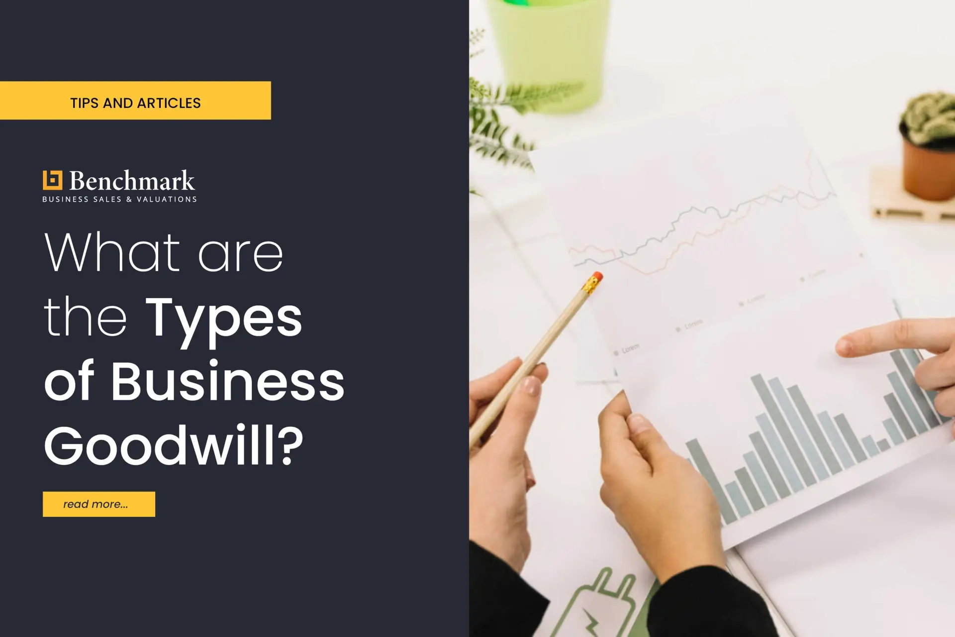 What are the Types of Business Goodwill?